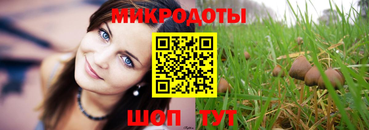Псилоцибиновые грибы GOLDEN TEACHER Вязьма